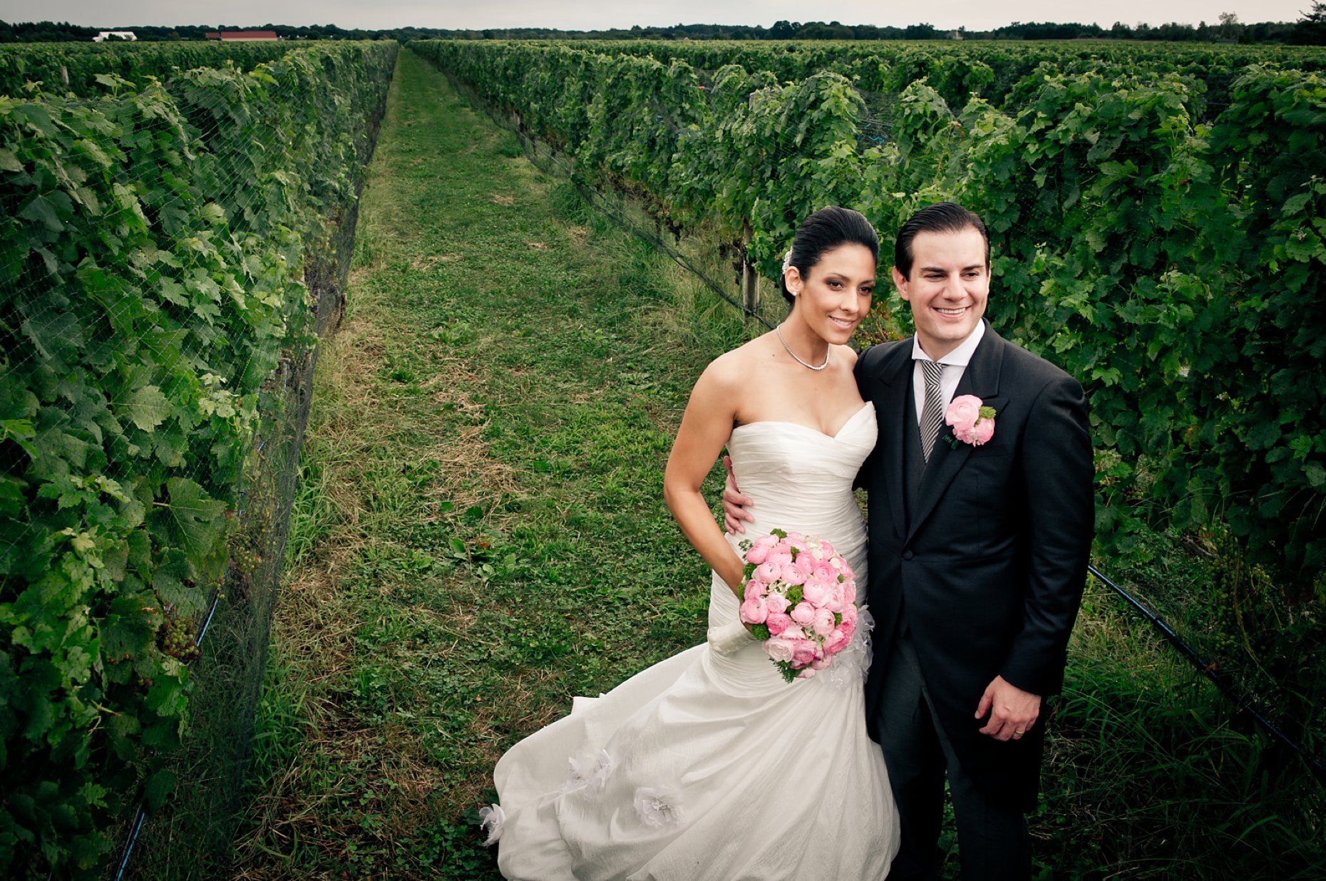 Raphael-Vineyard-021.JPG